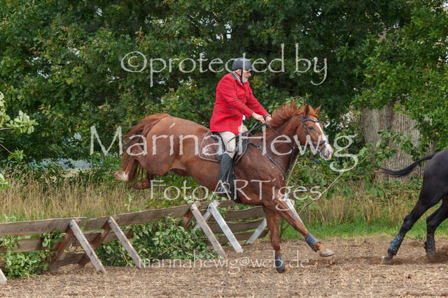 Jagd Perdoel_MarinaHewigMCH04362 | Fotografie, FotoArt, PferdesportArt, Pferdesportfotografie, Landschaftsfotografie, Reisefotografie, Reise, Pferde - Realisiert mit Pictrs.com