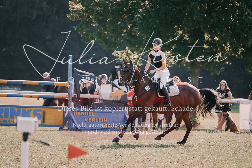 DSC_4775 | Pferde- und Turnierfotografie in Westsachsen. Pferdeportraits, Auftragszeichnungen und intuitive Kunst.