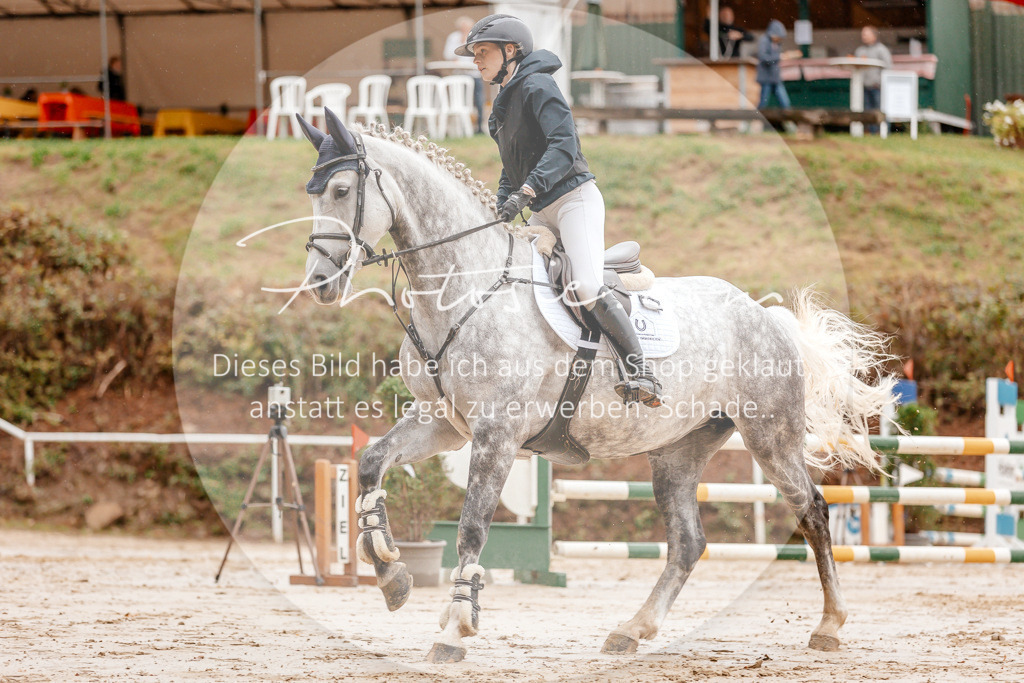 3I6A5928 | Stimmungsvolle Portraits und Reitsportfotografie im Ruhrgebiet und im Münsterland.

Pferdefotografie, Hundefotografie, Tierfotografie, Reportagen, Portraits von Tier und Mensch, Turnierfotografie in Bochum, Recklinghausen, Marl, Haltern am See, Dülmen.. - Realisiert mit Pictrs.com