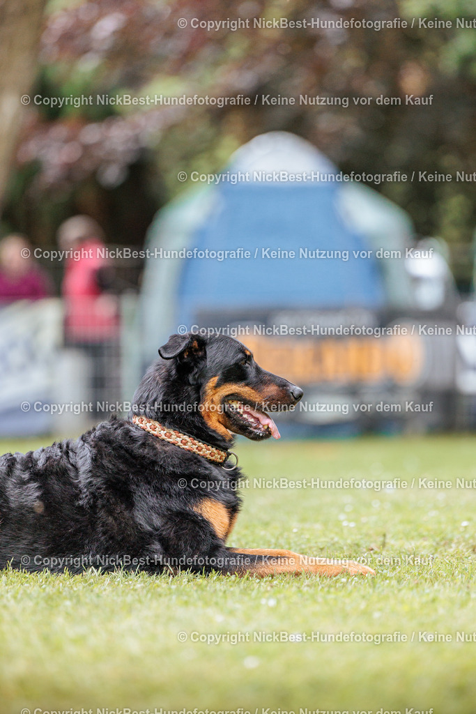 RO-Blumenthal-2026-Nickbest-Hundefotografie-2644 | Dein Hund! Dein Moment! Deine Erinnerungen! Hundefotografie in Bremen Blumenthal. Ich fange die besonderen Momente deines Vierbeiners ein – ob Indoor mit Blitzanlage oder in der freien Natur. Sicher dir dein Moment und dein Termin für eure Erinnerungen.