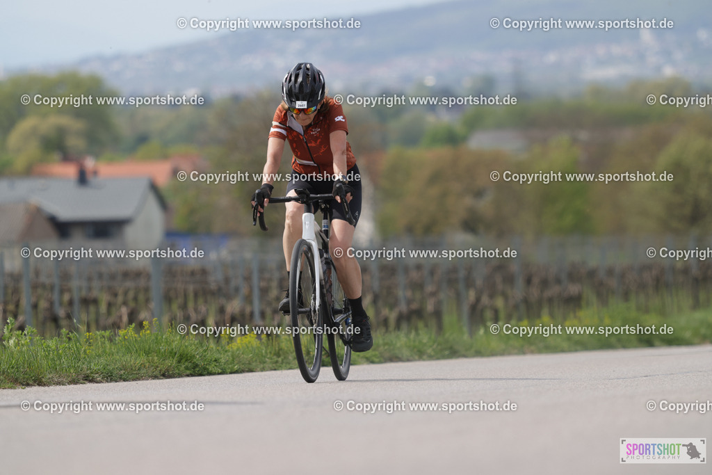 368A5901 | Neusiedlersee Radmarathon 2026@sportshot_your_pictrs #yourpictures#roadtowm2029 #nrm #neusiedlerseeradmarathon #neusiedlersee #neusiedlerseetourismus #burgenland #mörbisch #nrm26 #burgenlandtourismus #voglundco #poweredbyburgenlandtourismus #radsport #rad #marathon #ucigranfondo #visitburgenland #ucigranfondoworldseries