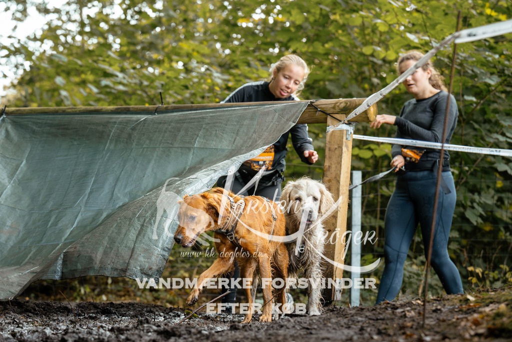 1435DZ6_3062Z6 | kk-dogfotos
