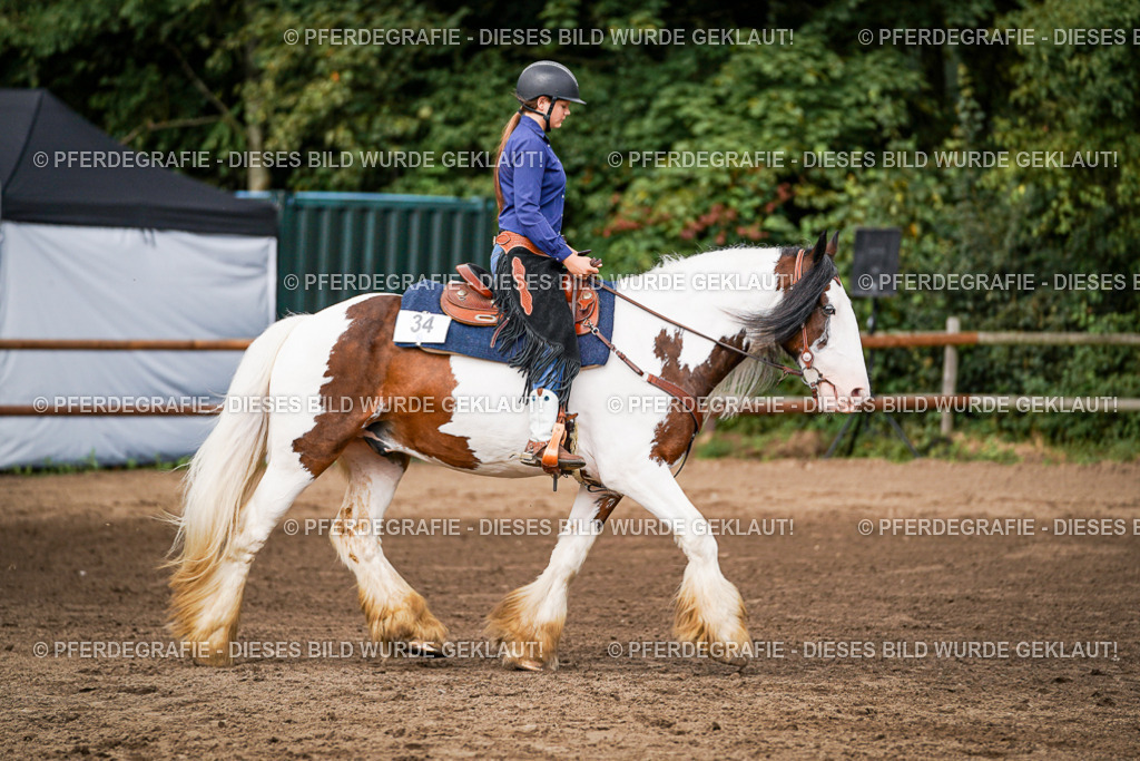 DSC07666 | Pferdegrafie