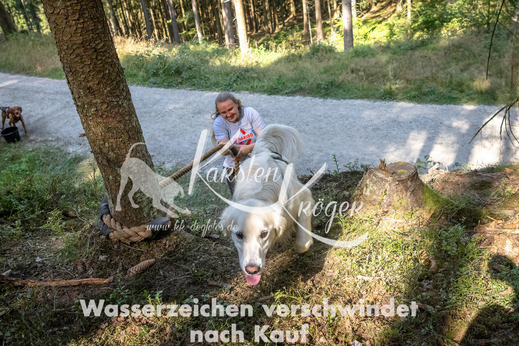 1131_ZZ90752 | kk-dogfotos