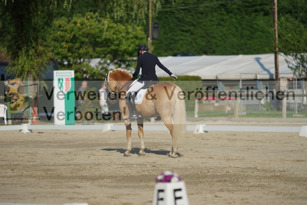 DSC02650 | equestrian-live-com