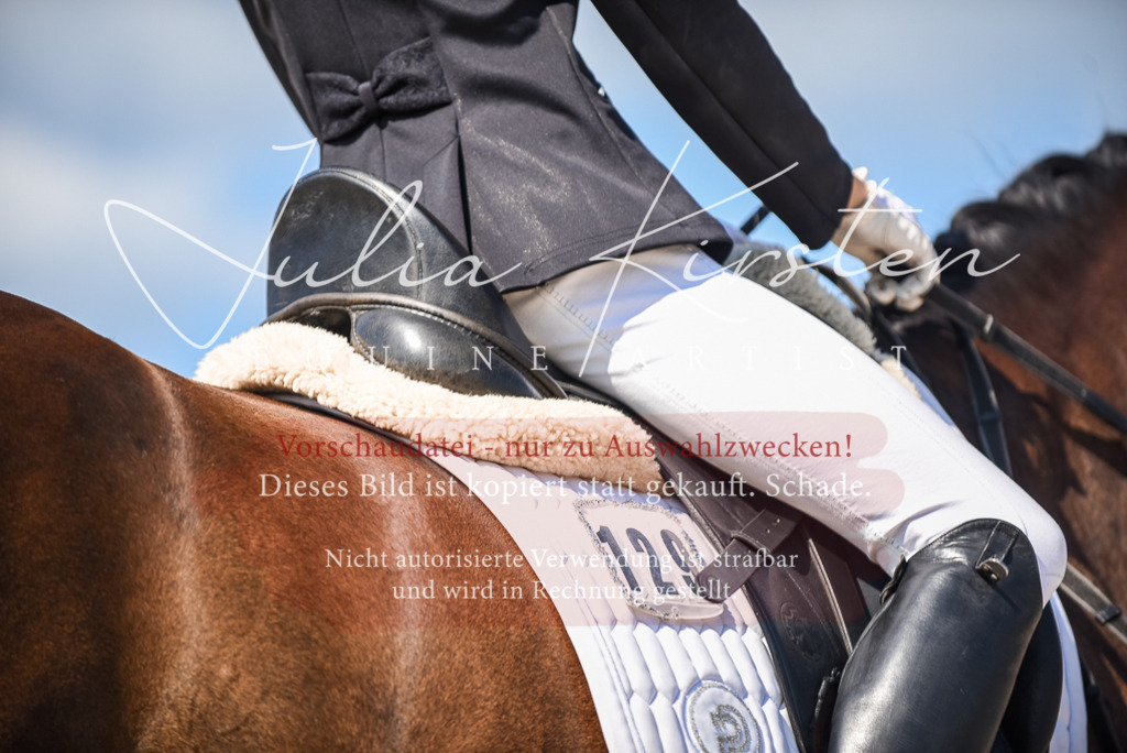 DSC_9584 | Pferde- und Turnierfotografie in Westsachsen. Pferdeportraits, Auftragszeichnungen und intuitive Kunst.