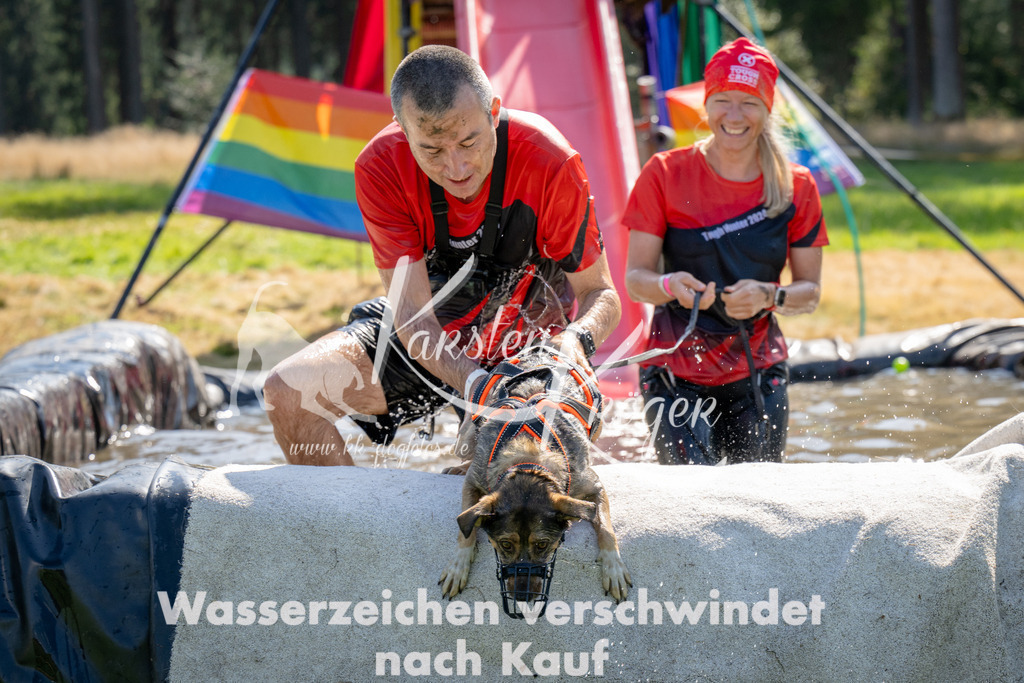 1438_ZZ91366 | kk-dogfotos