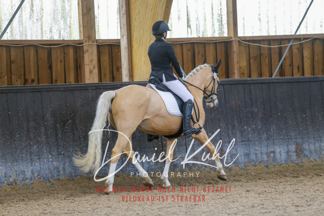 IMG_0340 | Turniersportfotografie; Pferdefotografie; Dressurfotografie