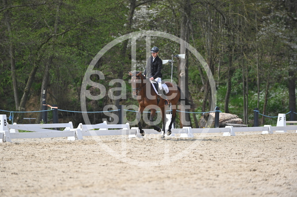 DSC_3436 | sattelsport - Realisiert mit Pictrs.com