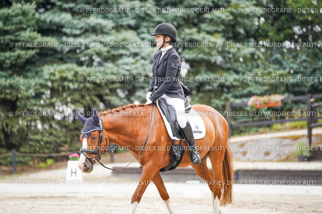 DSC01798 | Pferdegrafie