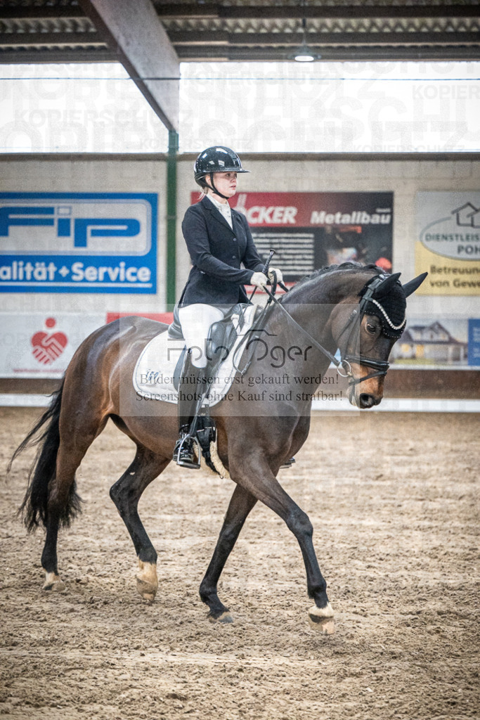 DOS_0743 | Entdecke hochwertige Reitturnierfotos von Foto Oger. Professionell, emotional und authentisch – jetzt Lieblingsmomente im Shop bestellen.Deutschlandweite Turnierfotografie. - Realisiert mit Pictrs.com