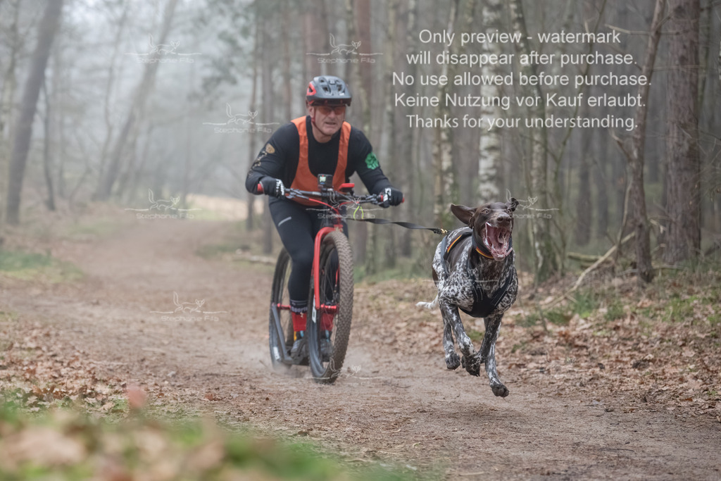 Scooter1-49 | stephaniefillaphotographie - Realisiert mit Pictrs.com