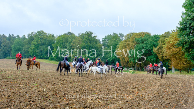 Jagd Kletkamp 26-9531_MarinaHewig | Fotografie, FotoArt, PferdesportArt, Pferdesportfotografie, Landschaftsfotografie, Reisefotografie, Reise, Pferde - Realisiert mit Pictrs.com