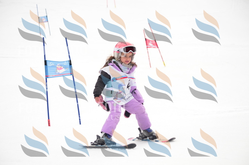 B9127 | holidayphoto