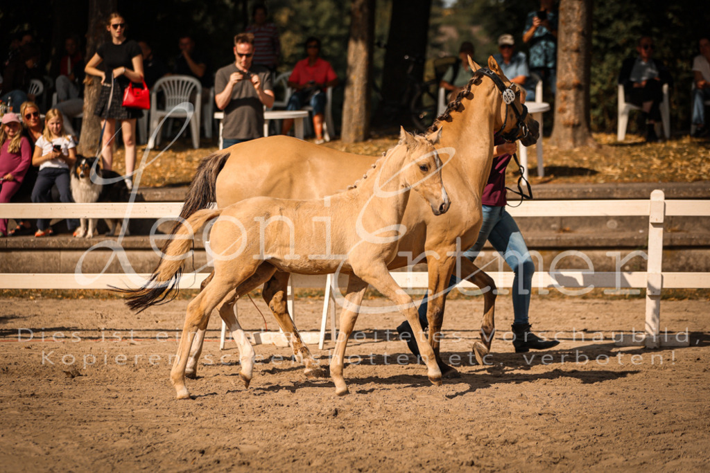 10.DoRP00186 | Leoni Ertmer Photography - Realisiert mit Pictrs.com