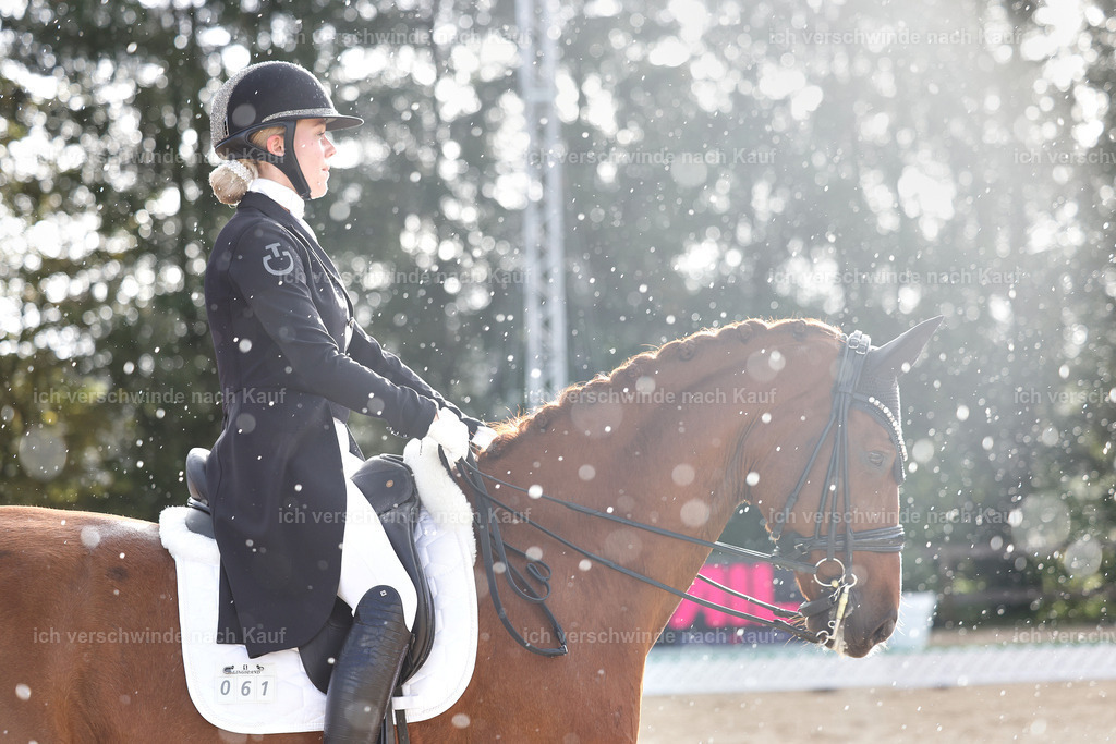 10-061-ST.GEORG SPECIAL -StoibPH-3148 | working equitationturnier fotograf videograf stoibphotography marixx film working equitation deutschland reitsport turnierfotografie eventfotografie equestrian events