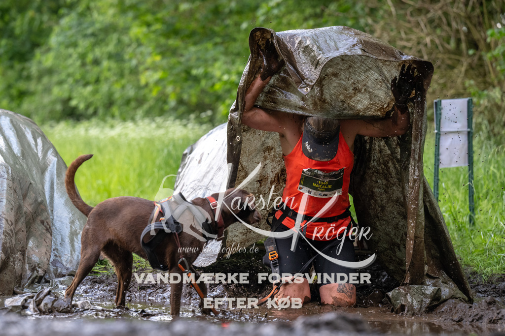 1301_ZZ94621 | kk-dogfotos