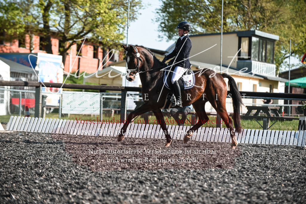 DSC_8293 | Pferde- und Turnierfotografie in Westsachsen. Pferdeportraits, Auftragszeichnungen und intuitive Kunst.