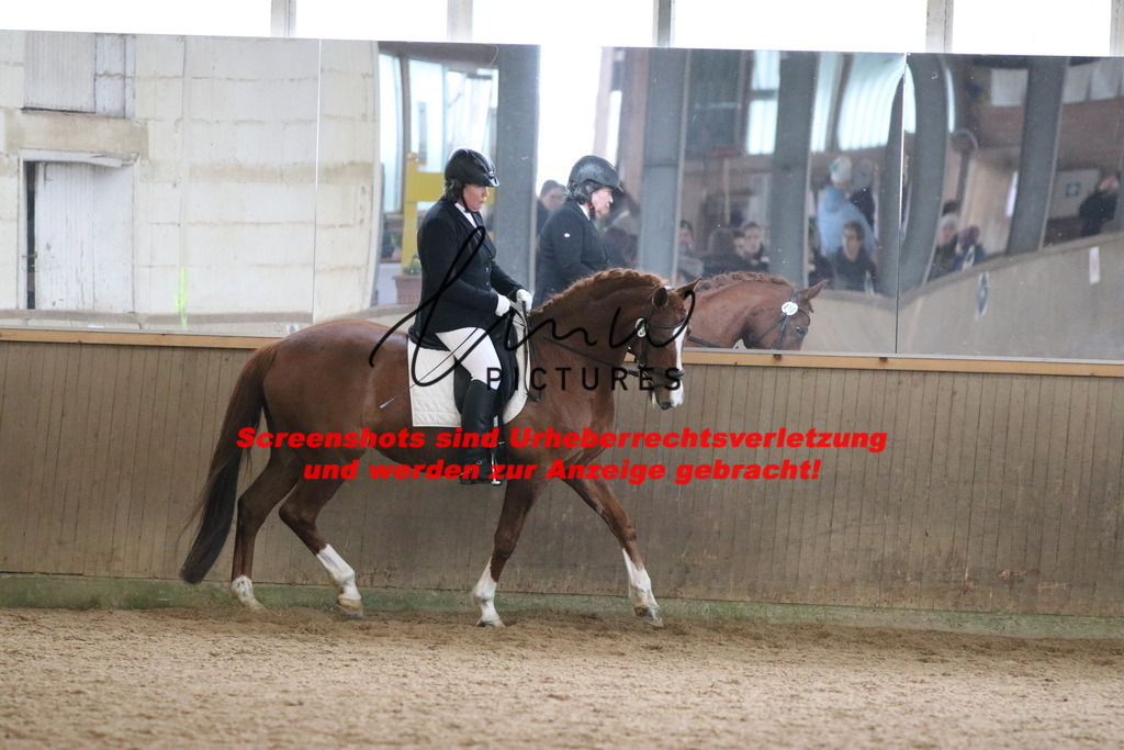 IMG_8037 | lmwpictures - Realisiert mit Pictrs.com