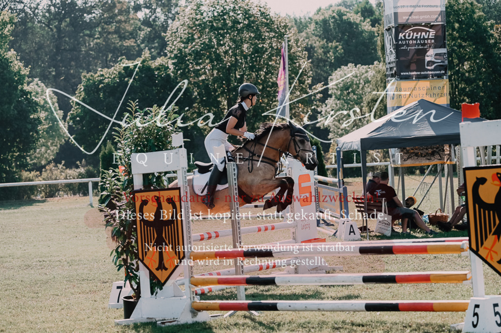 DSC_4853 | Pferde- und Turnierfotografie in Westsachsen. Pferdeportraits, Auftragszeichnungen und intuitive Kunst.