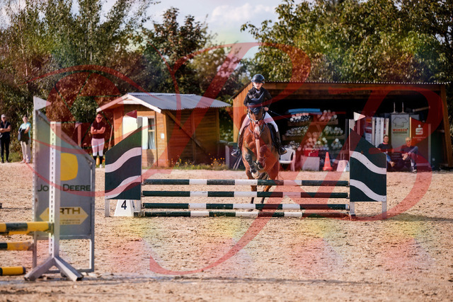 2026_10_03_Siefer-Hof_154648_Z81_65640630 | Professionelle Reitsport-, Turnier- und Eventfotografie von Robert Broda. Galerien mit ausgewählten und bearbeiteten Bildern direkt online ansehen und bestellen.