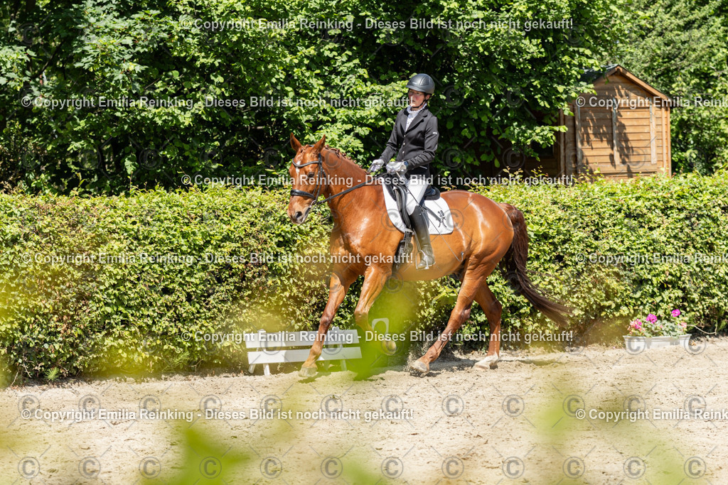 CL5A0177 | Emilia Reinking Fotografie - Realisiert mit Pictrs.com