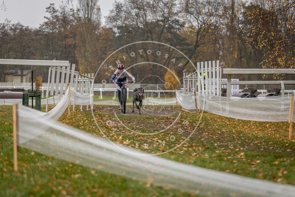 CaniXpix_DV3A7572 | Hundefotografie, Tierfotograf, Pfotenfotografie, Fotoshooting Hund, Hunde Portrait, Hundesport, Hundeportraits, Heideshooting, Hunde, Sportfotograf, Hundefotograf, Turnierhundsport, THS,  - Realisiert mit Pictrs.com