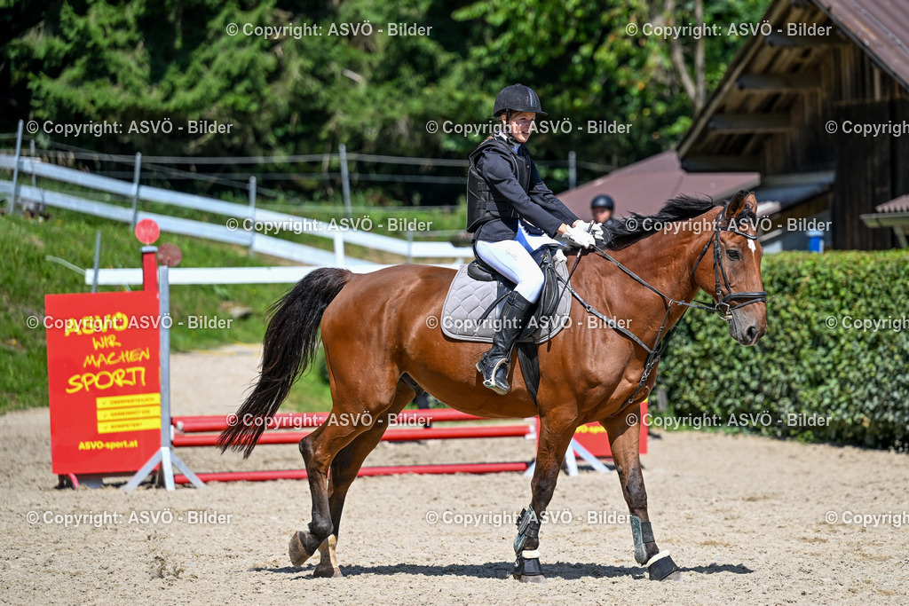 ASVÖ_ Reiten Bezirksmeisterschaft_ 24.08.2025-91 | 24.08.2025, AUT, ASVÖ, Reiten Bezirksmeisterschaft 2025Dressur und Springreiten©fodo.media / Harald Dostal - Realisiert mit Pictrs.com