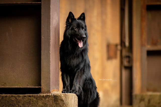 A116E0DD-6D52-464F-A65E-52F3371E9D93 | laurarinckfotografie - Realisiert mit Pictrs.com