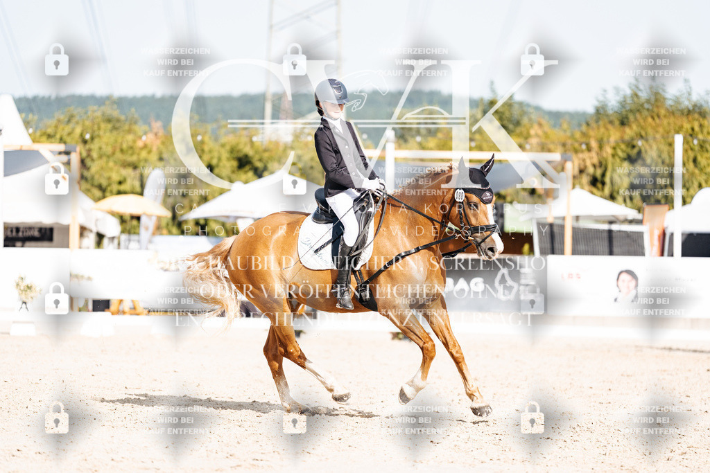 CK905378 | Turnierfotografie Pferdefotografie Trier Rheinland-Pfalz Pferdesport Reitsport Tierfotografie Sportfotografie Pferdevideo Pferdevideografie Equestrianvideography equestrianphotography  - Realisiert mit Pictrs.com