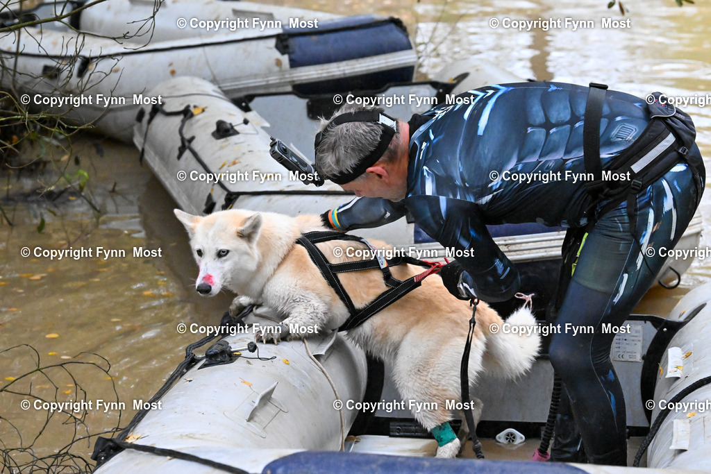 DSC_6807 | Hallo und herzlich Willkommen auf meiner Shop-Seite Fynn Most.

Ich wünsche Dir viel Spaß beim stöbern durch die Bilder, wenn Du Fragen hast oder Bilder vermisst, kannst du mir gerne eine Nachricht schreiben. - Realisiert mit Pictrs.com