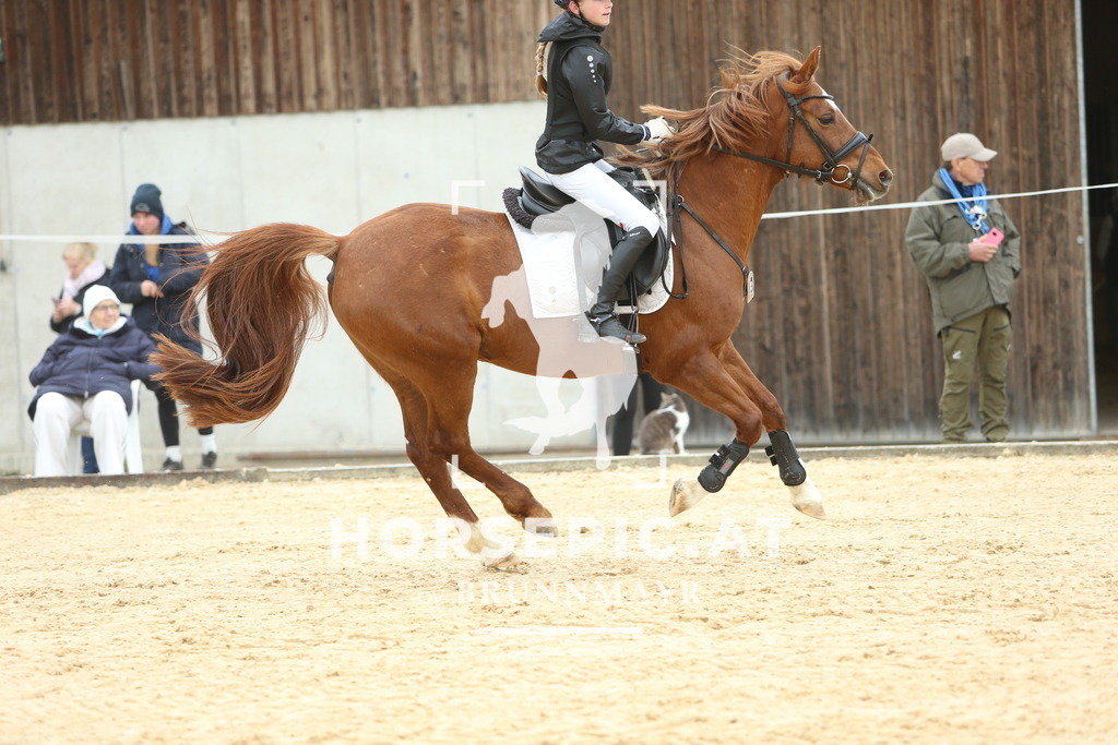 DL2Q2332 | Willkommen bei Brunnmayr - Design & Fotografie – Ihrem Spezialisten für Reitturniere und Pferdeveranstaltungen in Oberösterreich, Salzburg und Bayern! Seit über 17 Jahren sind wir leidenschaftlich dabei.