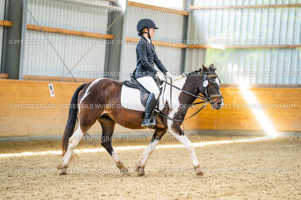 DSC03192 | Pferdegrafie