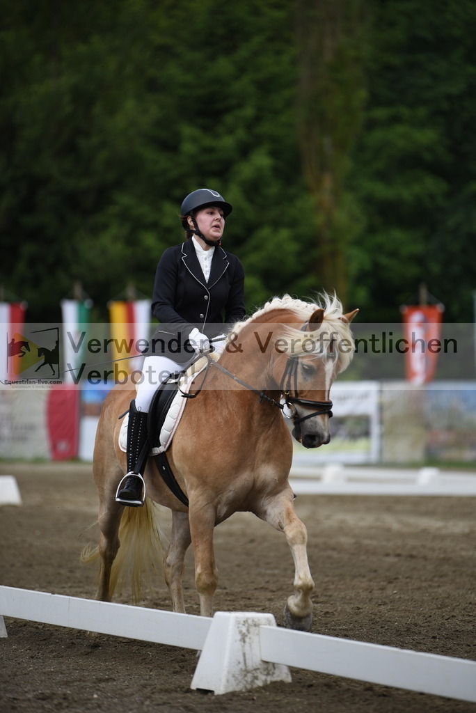 DSC_7812 | equestrian-live-com