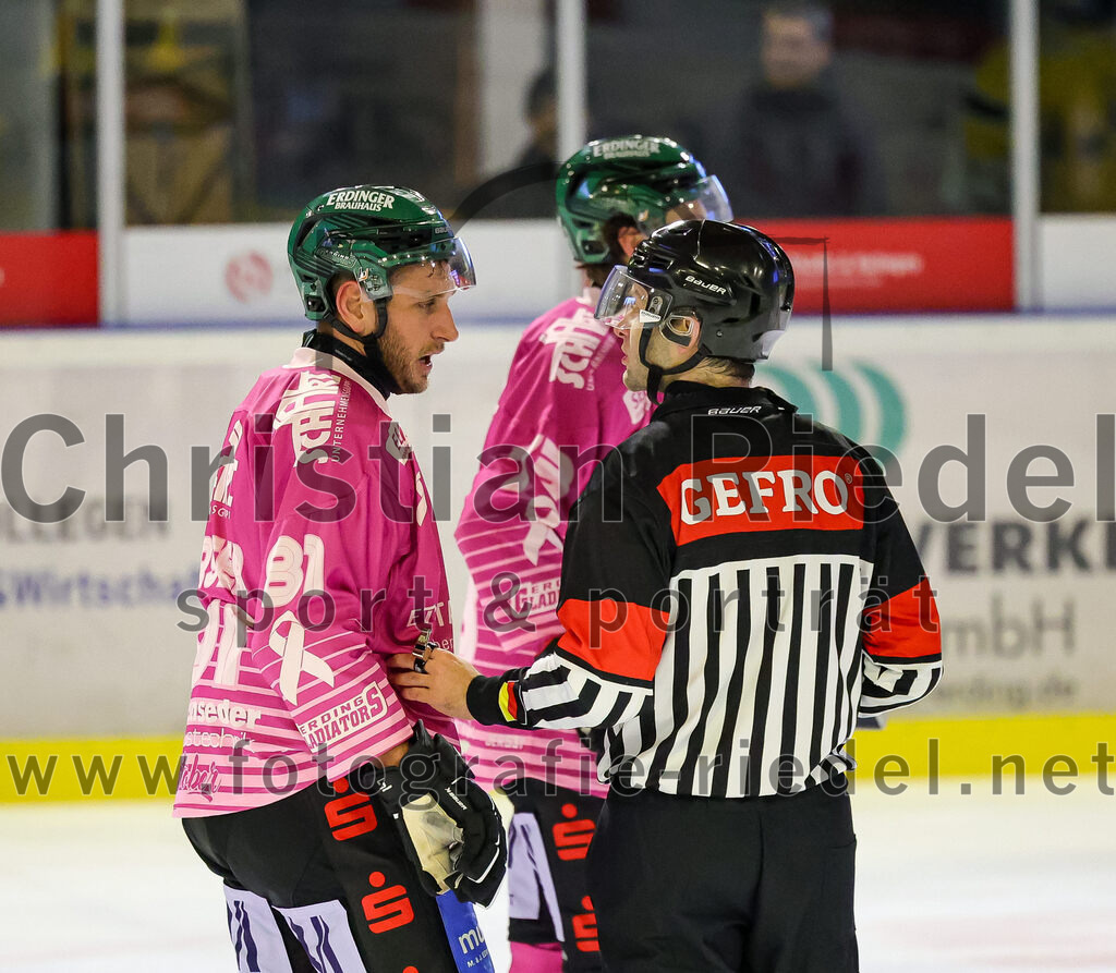 2025-10-28_147_TSV_Erding_gegen_Toelzer_Loewen | Erding, Deutschland, 28.10.2025:Eishockey, Oberliga Süd 2025 / 2026, 13. Spieltag, TSV Erding gegen Tölzer Löwen, Endergebnis: 2:5Maximilian Forster (Erding Gladiators, #81)Foto: Christian Riedel / fotografie-riedel.net