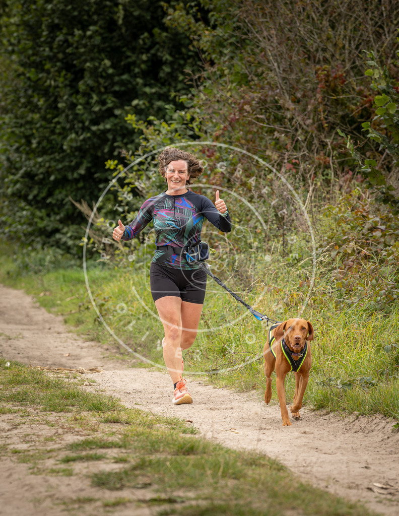 Pfotenfotografie_DV3A8082 | Hundefotografie, Tierfotograf, Pfotenfotografie, Fotoshooting Hund, Hunde Portrait, Hundesport, Hundeportraits, Heideshooting, Hunde, Sportfotograf, Hundefotograf, Turnierhundsport, THS,  - Realisiert mit Pictrs.com