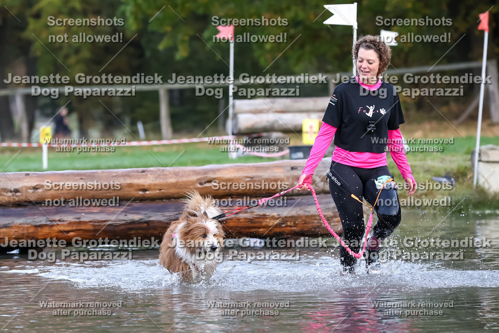 Dog Paparazzi - Strongdog 10-25-6394 | Dog Paparazzi Jeanette Grottendiek Fotografie & Videografie - Realisiert mit Pictrs.com