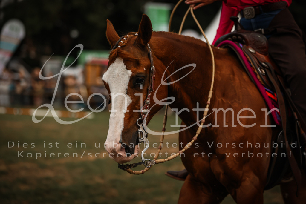 SaShow00173 | Leoni Ertmer Photography - Realisiert mit Pictrs.com