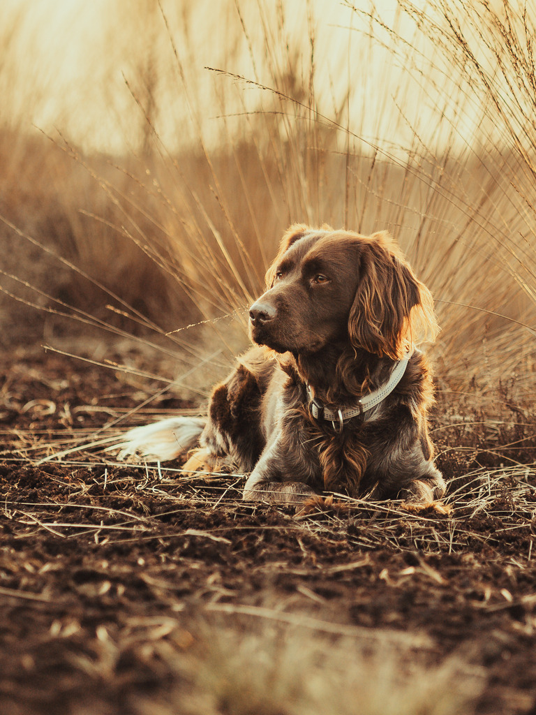 Asko | photography by friederike - Realisiert mit Pictrs.com