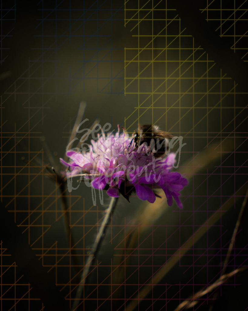 XE5G0085 | See something different - Realisiert mit Pictrs.com