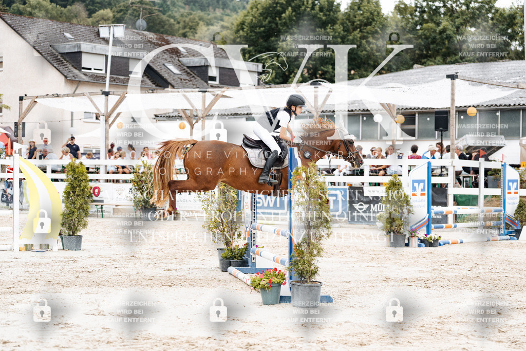 CK908453 | Turnierfotografie Pferdefotografie Trier Rheinland-Pfalz Pferdesport Reitsport Tierfotografie Sportfotografie Pferdevideo Pferdevideografie Equestrianvideography equestrianphotography  - Realisiert mit Pictrs.com