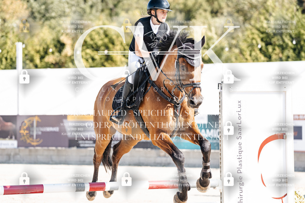 CK905141 | Turnierfotografie Pferdefotografie Trier Rheinland-Pfalz Pferdesport Reitsport Tierfotografie Sportfotografie Pferdevideo Pferdevideografie Equestrianvideography equestrianphotography  - Realisiert mit Pictrs.com
