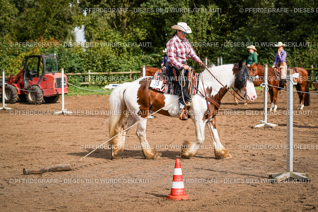 DSC09951 | Pferdegrafie