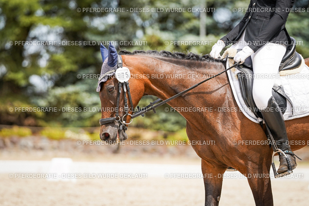 DSC04121 | Pferdegrafie