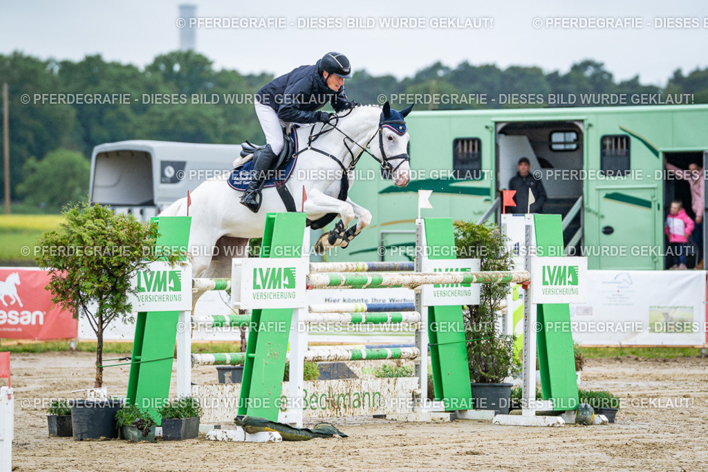 DSC03422 | Pferdegrafie