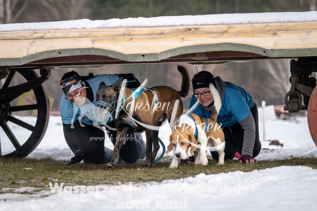0828_ZZ91686-5 | kk-dogfotos