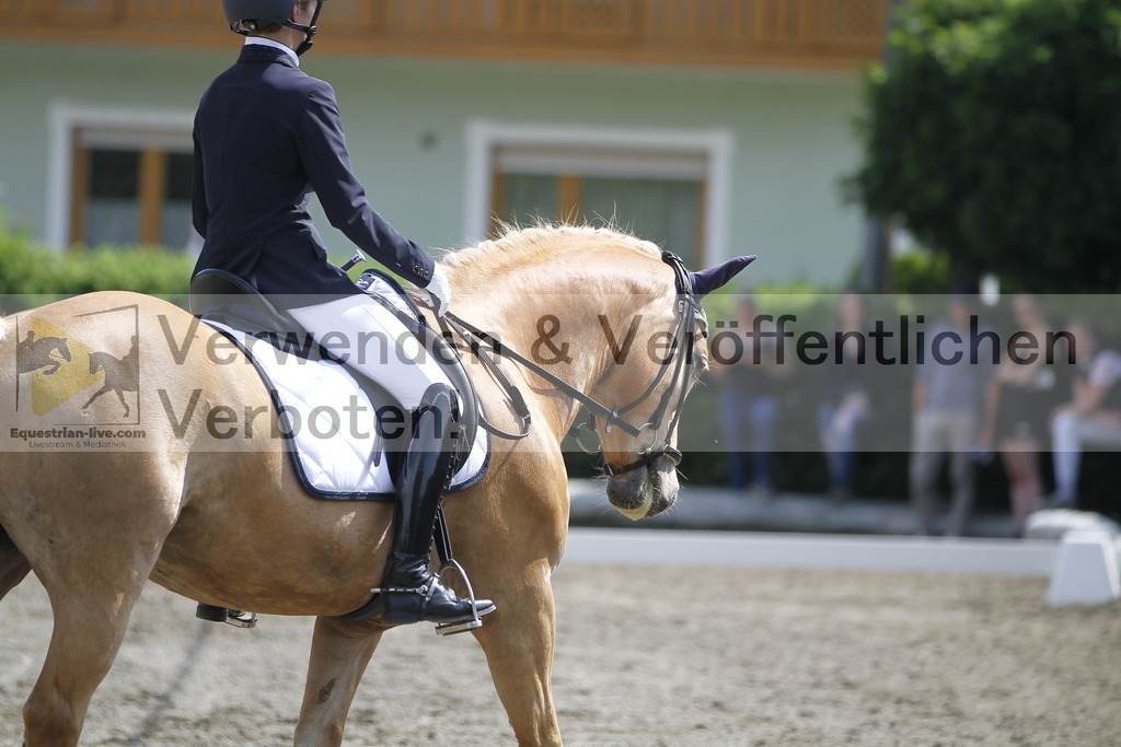 _MG_9902 | equestrian-live-com
