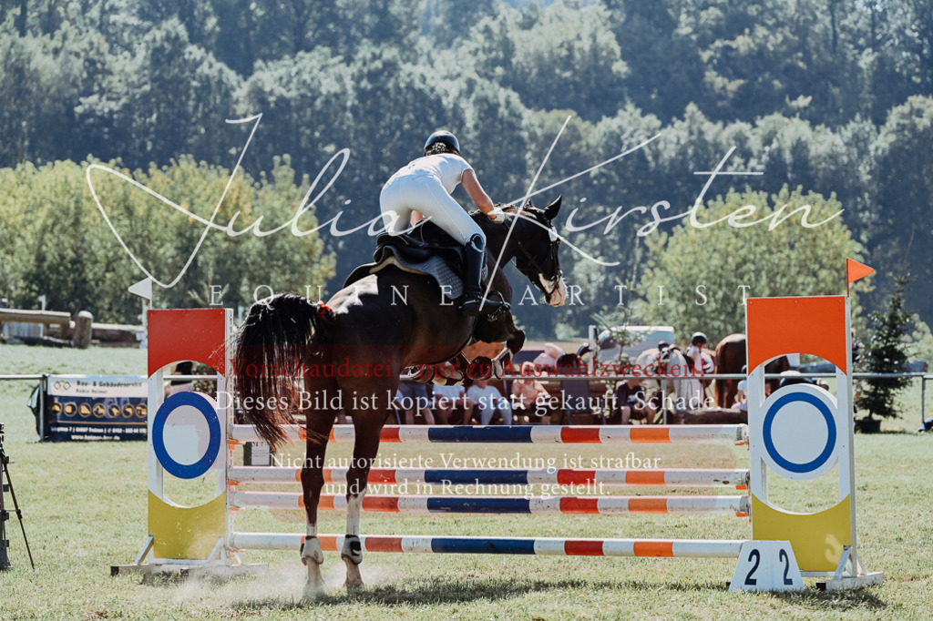 DSC_5889 | Pferde- und Turnierfotografie in Westsachsen. Pferdeportraits, Auftragszeichnungen und intuitive Kunst.