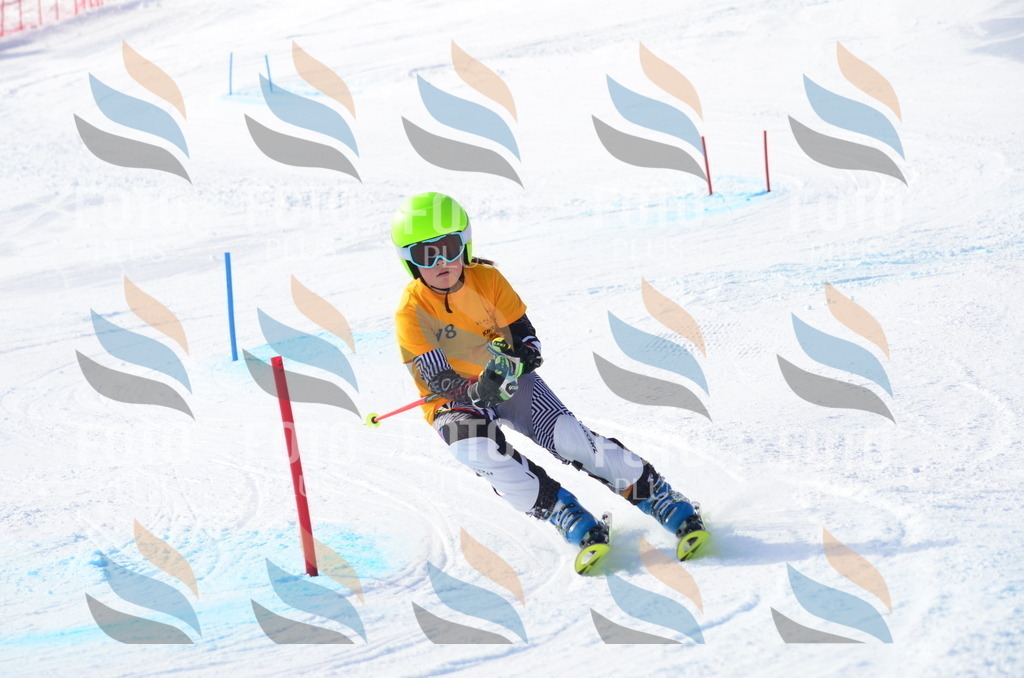 C7967 | holidayphoto