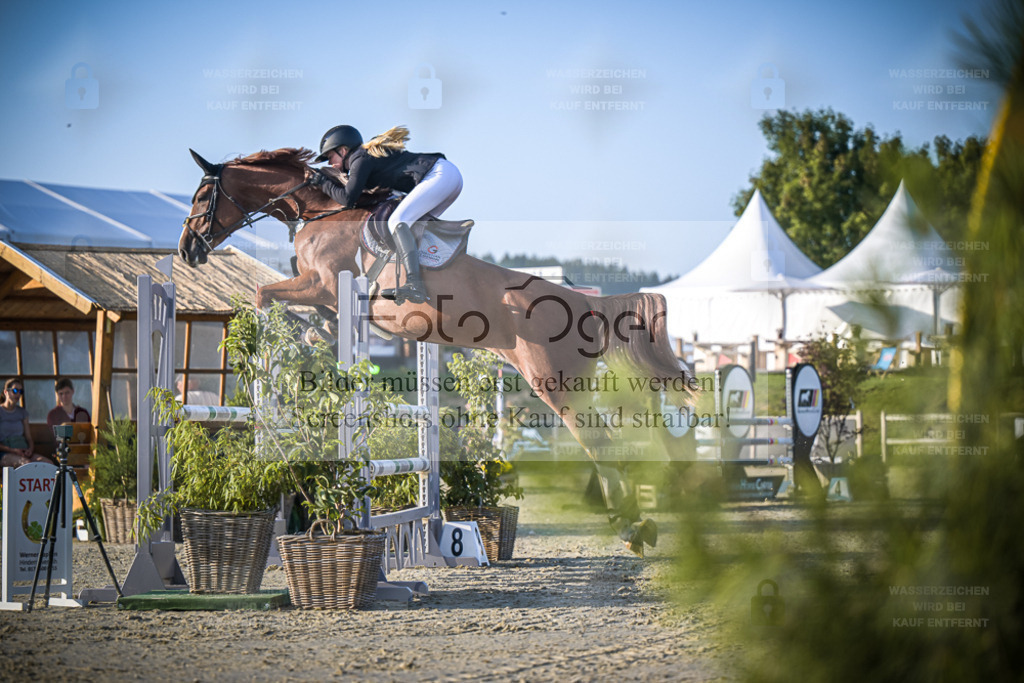 DOS_0181 | Entdecke hochwertige Reitturnierfotos von Foto Oger. Professionell, emotional und authentisch – jetzt Lieblingsmomente im Shop bestellen. - Realisiert mit Pictrs.com